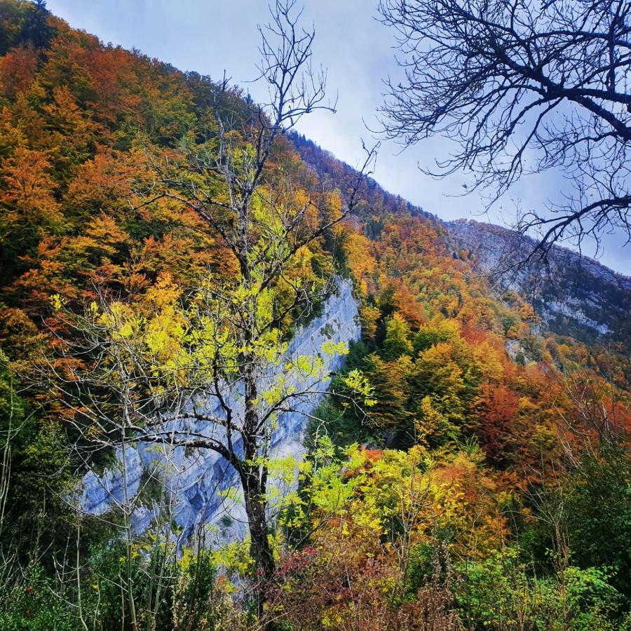 Gite Les Moulins Septmoncel-Les-Molunes 外观 照片